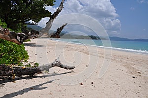 Grand anse beach, MAhe island, Seychelles