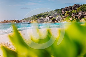 Grand Anse, La Digue island, Seychelles. Defocused lush green vegetation in foreground and gorgeous white sand paradise