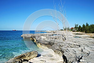 Grand Bahama Island Landscape