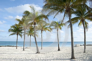 Grand Bahama Island Lucaya Beach