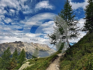 Grand Balcon Vista: Chamonix Mountain Trail Path, France photo