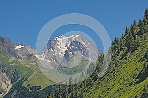 Grand Bec and surrounding mountains with pine forest , France