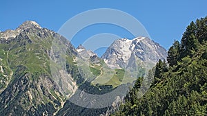 Grand Bec and surrounding mountains with pine forest , France