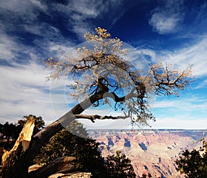 Grand canyon-2