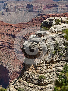 The Grand Canyon