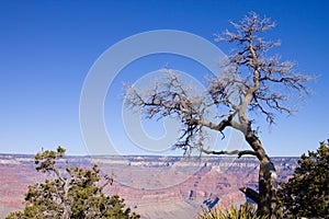 Grand Canyon Arizona