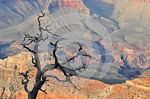 Grand Canyon Arizona