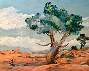 Grand Canyon Desert Naive Oil Painting