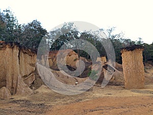 Grand Canyon Forest Park Natural sculpture landmark by erosion geology