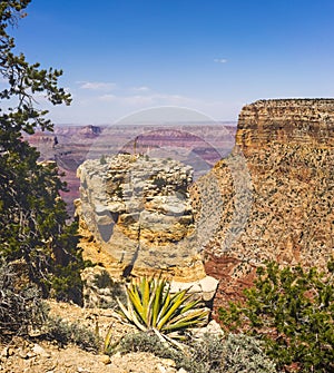 Grand Canyon Grandview Point landscape view