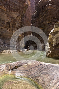 Grand Canyon of Jordan,Wadi al mujib Natural Reserve photo