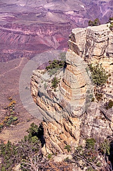 Grand Canyon Landscape