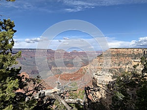 Grand Canyon Landscape Arizona USA