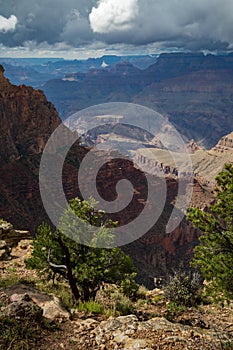 Grand Canyon Landscapes