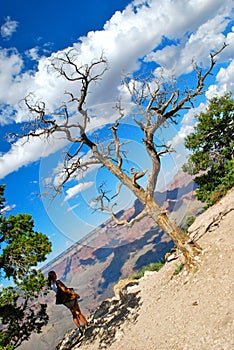 Grand Canyon meditation