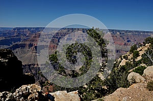 Grand Canyon national park Arizona United State of America