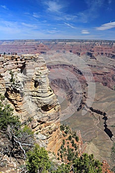 Grand Canyon National Park with Desert Landscape at Mather Point, Arizona