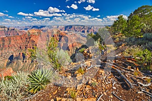 Grand Canyon From North Rim