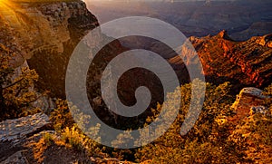 Grand Canyon north rim at golden sunset, Arizona. Canyon National Park. View of a desert mountain. Famous american