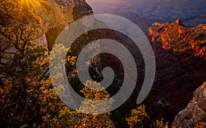 Grand Canyon north rim at golden sunset, Arizona. Red rock canyon panoramic landscape. Canyon National Park. View of a