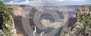 Grand Canyon North Rim - Panoramic