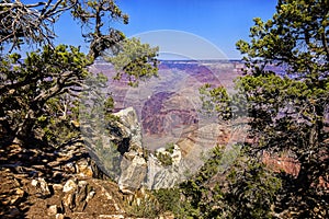 Grand Canyon Opening Between Trees At Mather Point