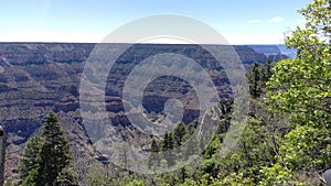 Grand Canyon`s Lush North Rim