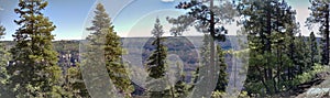 Grand Canyon`s Lush North Rim