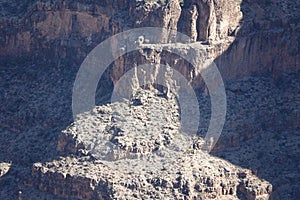 The Grand Canyon`s West Rim 30