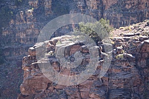 The Grand Canyon`s West Rim 62