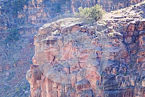 The Grand Canyon`s West Rim 73