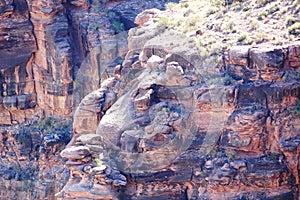 The Grand Canyon`s West Rim 74