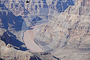 The Grand Canyon`s West Rim 8