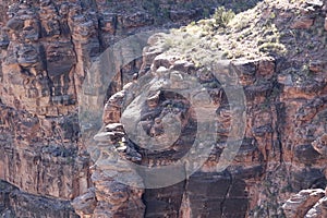 The Grand Canyon`s West Rim 97