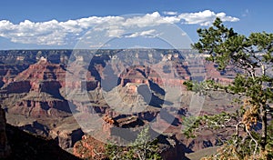 Grand Canyon, South Rim View