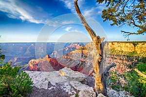 Grand Canyon sunny day with blue sky
