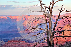 Grand Canyon sunset