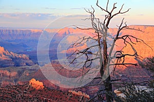 Grand Canyon sunset