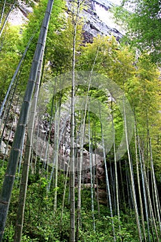 The Grand canyon in Taining county,Fujian, China