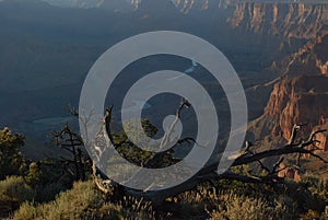 Grand Canyon Textures and Colors