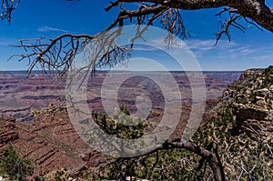 Grand canyon view from the south village