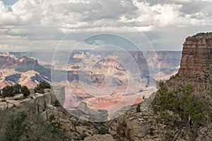 Grand Canyon vista with rocks and trees in foreground