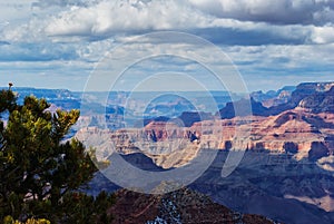 Grand Canyon in Winter