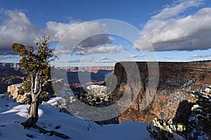 Grand Canyon winter scene