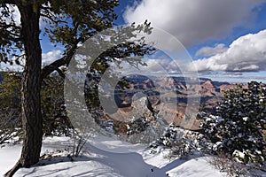 Grand Canyon winter scene