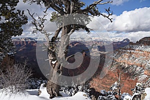 Grand Canyon winter scene