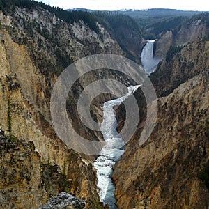 Grand canyon of yellow stone national park