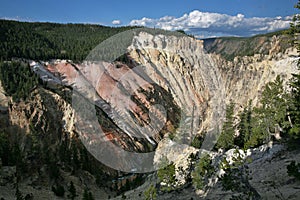 Grand canyon of yellow stone national park