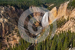 The Grand Canyon of Yellowstone