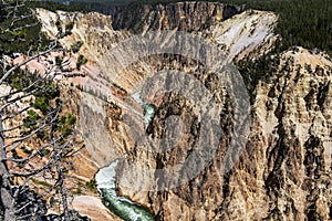 Grand Canyon of the Yellowstone as seen from North Rim's Lookout Point, Yellowstone National Park, Wyoming, USA